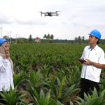 Holding Perkebunan Nusantara Percepat Transformasi Digital, PalmCo Sertifikasi Operator Drone Perkuat Sistem Pemantauan Kebun