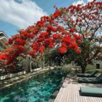 ASAI Village Jimbaran: Oase Wellness di Bali