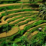 Bali’s Investment Landscape in 2026 Is Being Redefined by Local Priorities